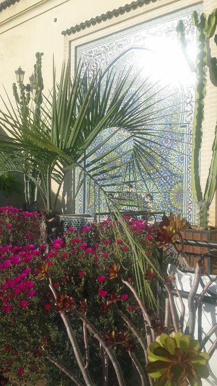 פס Riad Souafine מראה חיצוני תמונה