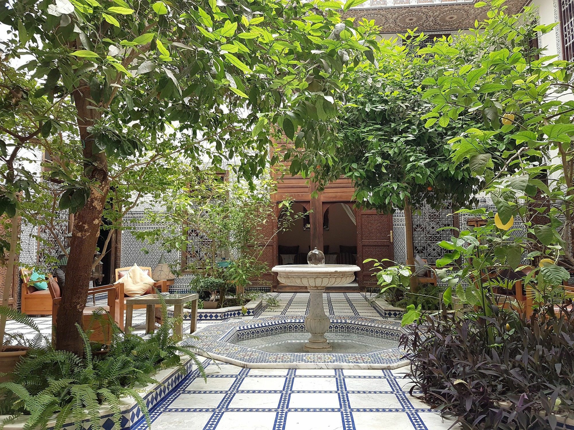פס Riad Souafine מראה חיצוני תמונה